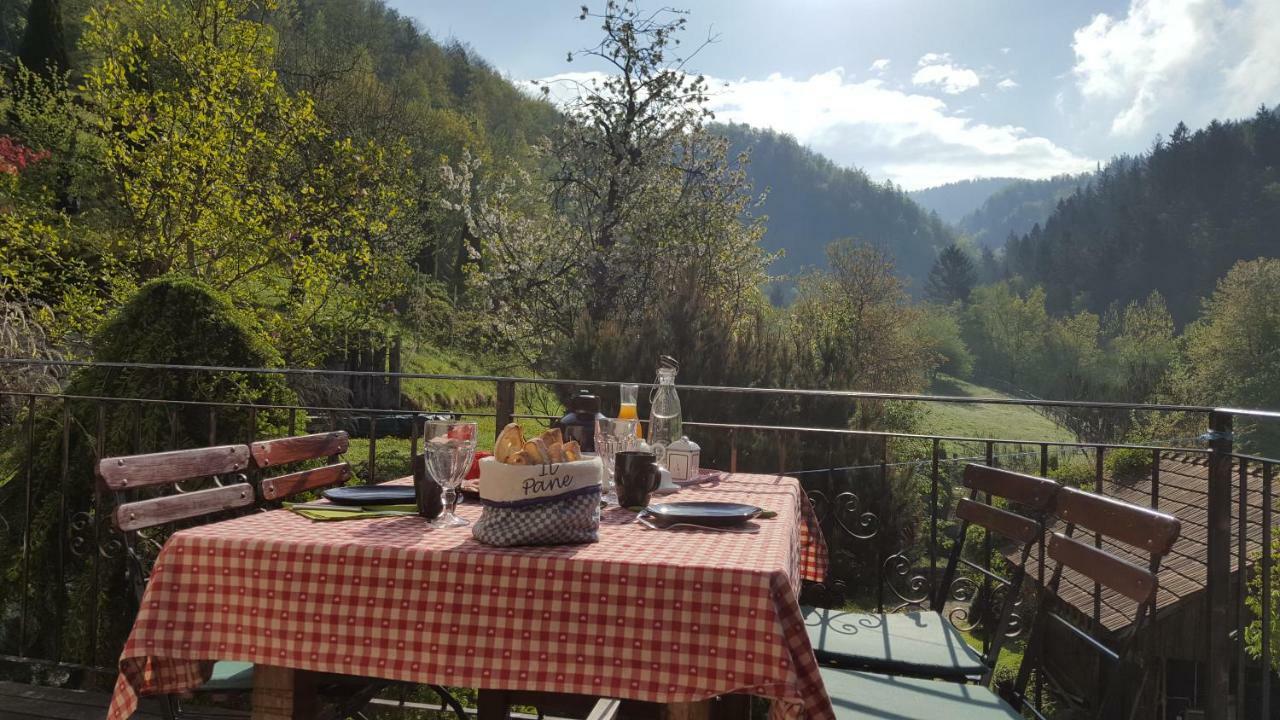 Turisticna Kmetija Weiss Villa Miklavz pri Taboru Exterior photo