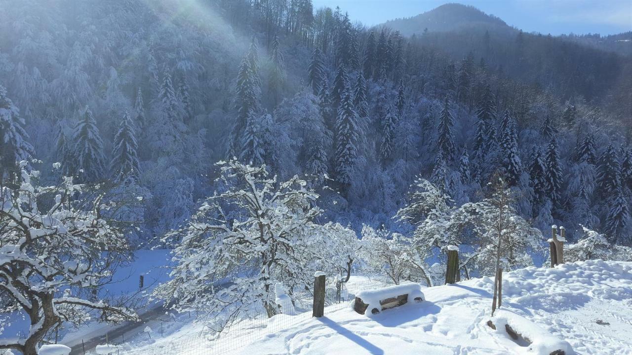 Turisticna Kmetija Weiss Villa Miklavz pri Taboru Exterior photo